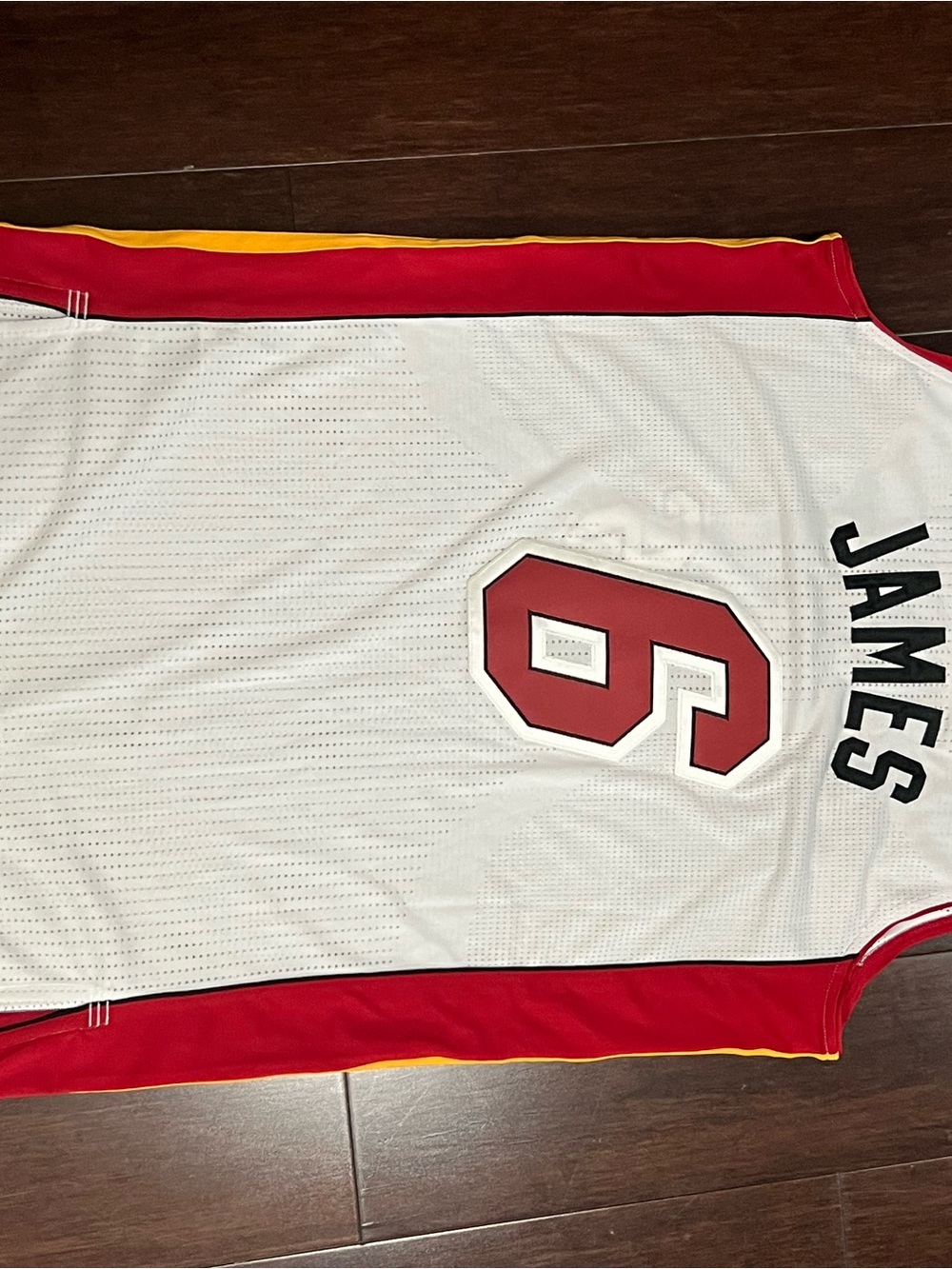 James Miami heat vintage jersey one of one